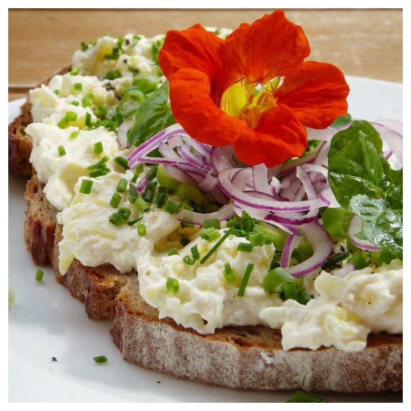 platzhalter