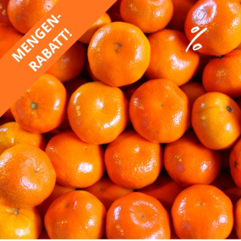 Mandarinen unbehandelt ca. 1,5 kg