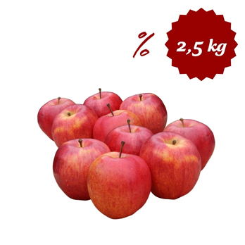 Äpfel Gala ca. 2,5 kg