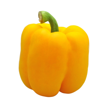 Paprika gelb aus Bayern