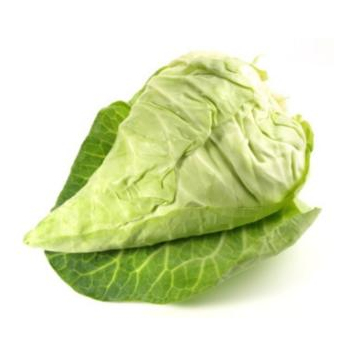 Spitzkohl