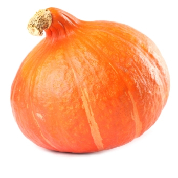 Kürbis Hokkaido aus Franken