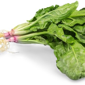 Wurzelspinat ca. 500g