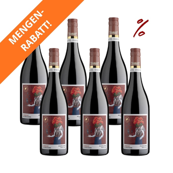 6x Cabernet Pizzolato schwefelfrei