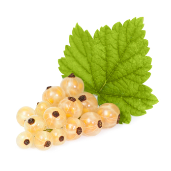 Johannisbeeren weiß 250g