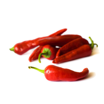 Peperoni Chili rot