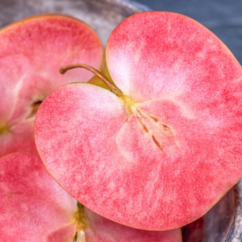 Äpfel Red Moon rotfleischig