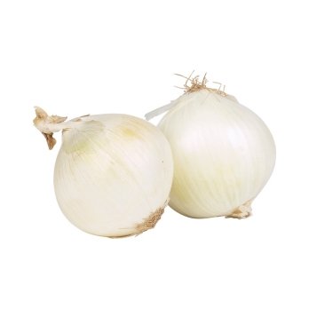 Zwiebeln weiß neue Ernte