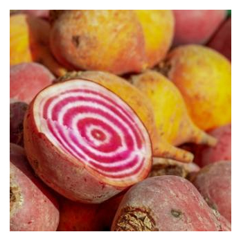 Ringelbete rot-weiß gestreift REGIO