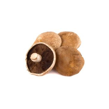 Pilze Portobello groß ca. 300g