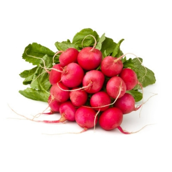 Radieschen