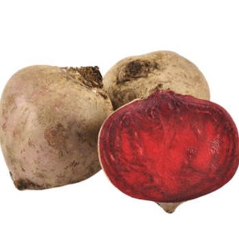 Rote Bete aus Franken