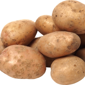 Kartoffeln mehlig REGIO