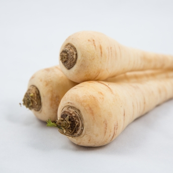 Pastinaken aus Franken