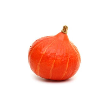 Kürbis Hokkaido orange vom Landgut