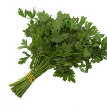 Petersilie glatt aus Bayern