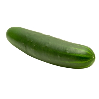 Landgurken vom Landgut