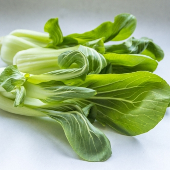 Pak Choi