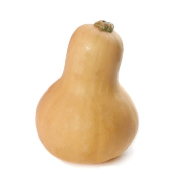 Kürbis Butternut vom Landgut