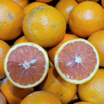 Obstretter: Saftorangen unbehandelt