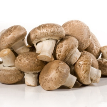 Champignons ca. 250g