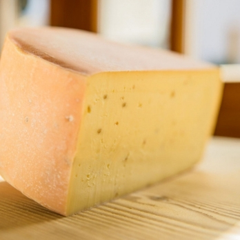 Heiderer Bockshornklee