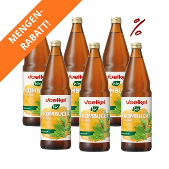 6x Kombucha