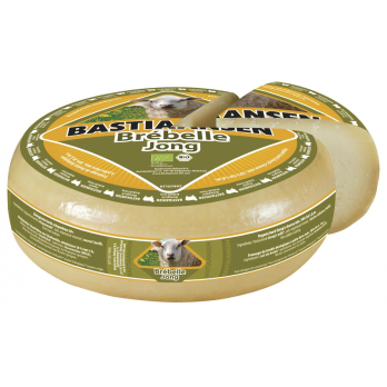 Schafgouda Brébelle