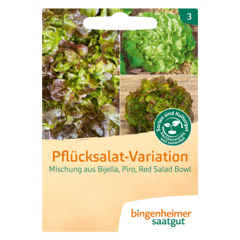Pflücksalat-Variation Saatgut