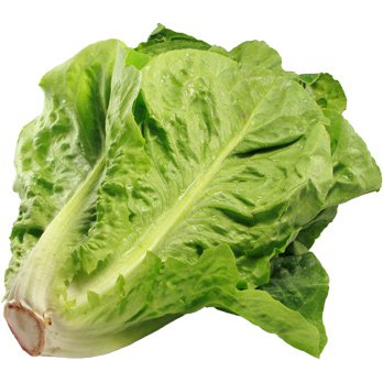 Salatherz Romana REGIO
