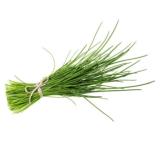 Schnittlauch Bund vom Landgut