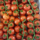 Cherry-Strauchtomaten aus Franken ca. 250g
