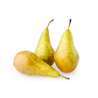 Kinderbirnen Conference