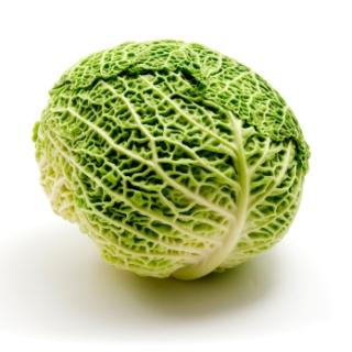 Gemüseretter: Wirsing aus Franken