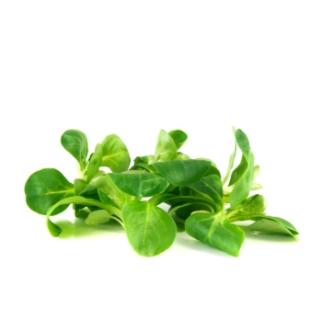 Feldsalat vom Landgut ca. 125g