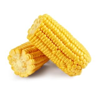 Vorgekochter Zuckermais