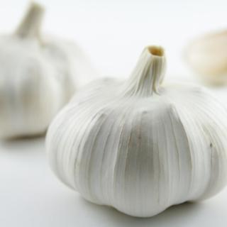 Knoblauchknolle aus Bayern