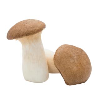 Kräuterseitlinge ca. 200g