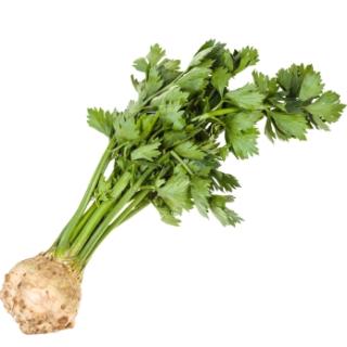 Sellerieknolle mit Grün vom Landgut