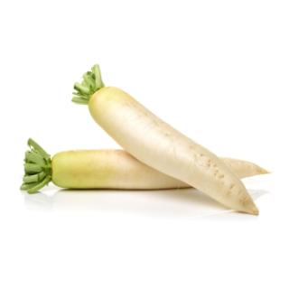 Rettich weiß REGIO