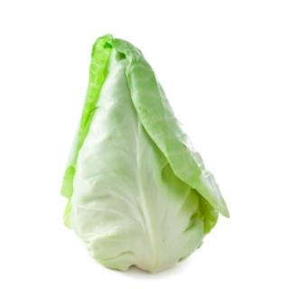 Spitzkohl vom Landgut