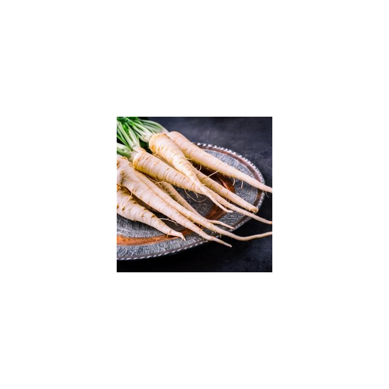 platzhalter