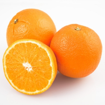 Orangen Navelina unbehandelt