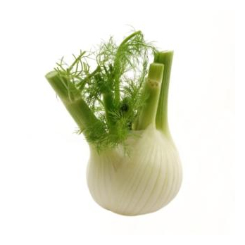 Fenchel aus Bayern