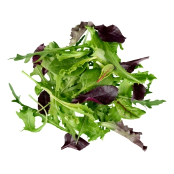 Asia-Salat aus Franken ca. 125g