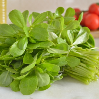 Postelein Bund REGIO