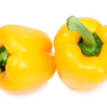 Paprika gelb vom Landgut