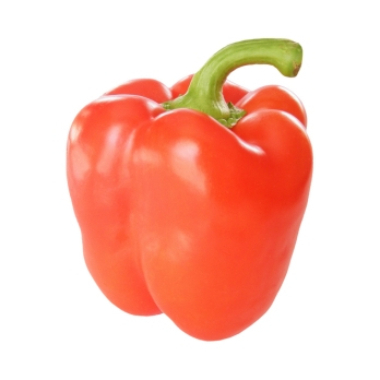Paprika rot