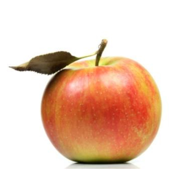 Äpfel Jonagold aus Franken