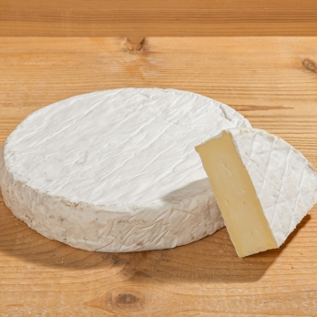 Amtsschimmel Brie